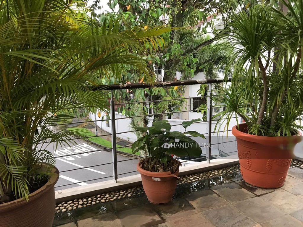 Lilac Road (D28), Terrace #143826202